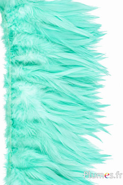 Frangia gallo - lungo. piume 10-15 cm - verde mare